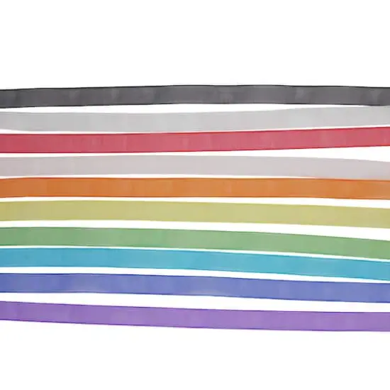 10 Color Sheer Value Pack Ribbon by Celebrate It&reg; Rainbow {4}