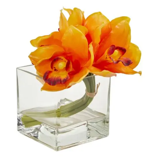 8" Boat Orchid Arrangement in Glass Vase, 2ct. Orange {3}