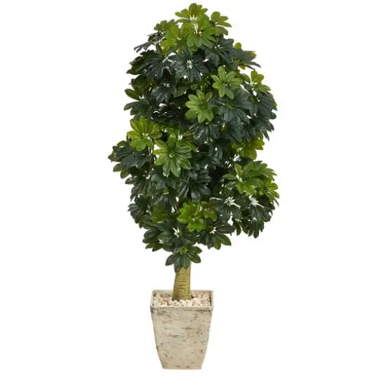 5ft. Umbrella Tree in Country White Planter {1}