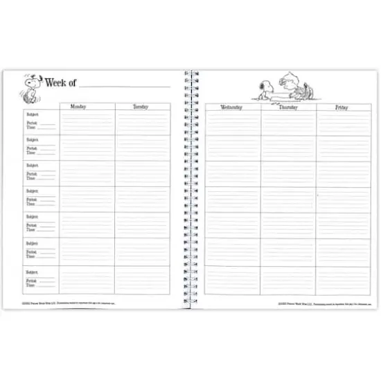 Eureka&reg; Peanuts&reg; Lesson Plan & Record Book, 2 ct. {4}