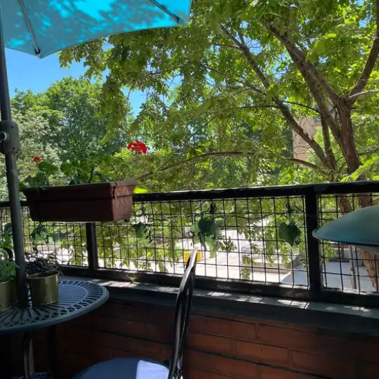 6ft. Green Grape Cluster String Lights {7}