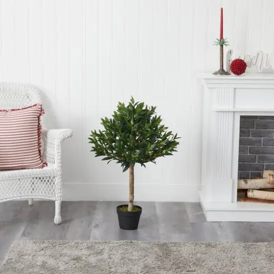 3ft. Potted Olive Topiary Tree {6}