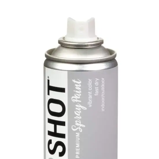 COLORSHOT&reg; Premium Satin Spray Paint Let's Get Cozy {6}