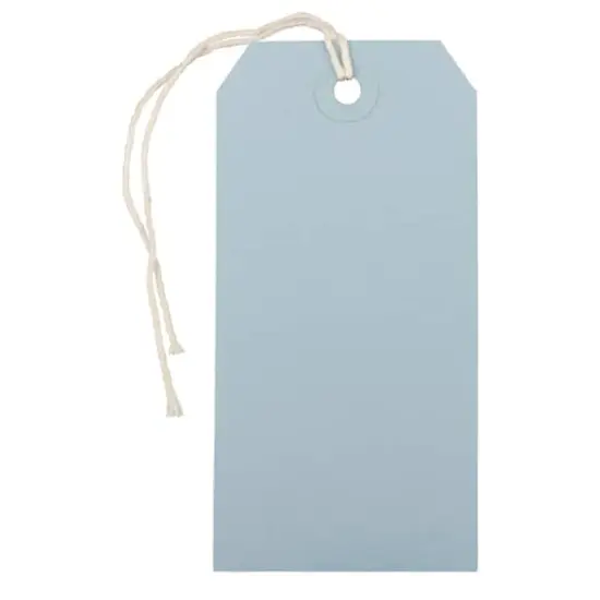 JAM Paper Medium Gift Tags with String Baby Blue {1}