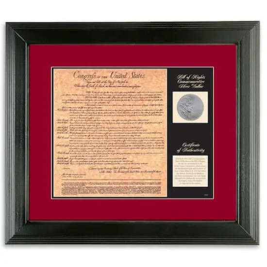 Birth of a Nation - Bill of Rights {1}