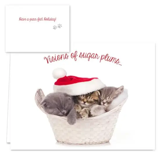 Hortense B. Hewitt Co. Christmas Cats Holiday Cards {3}