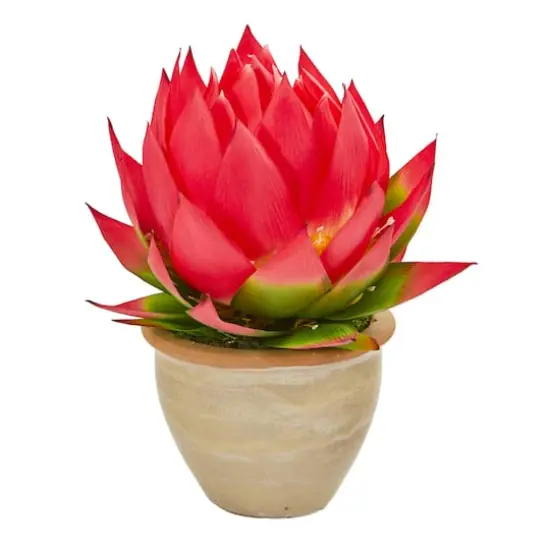 12" Red Musella Arrangement In Decorative Vase {1}