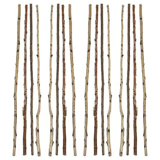 Hello Honey&reg; 59" Long Wood Birch Branches, 16ct. {1}