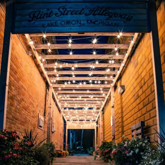 10ct. Clear Edison Glass Patio String Lights with Green Wire {3}