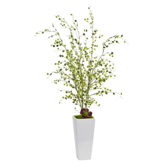 4ft. Night Willow in White Planter {1}