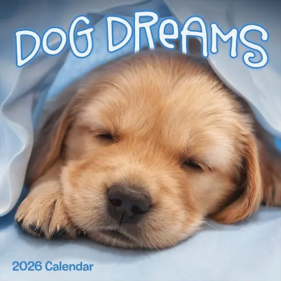 2026 Dog Dreams Wall Calendar {1}