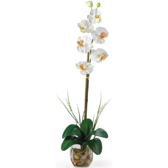 2.3ft. Cream Orchid Arrangement with Vase {1}