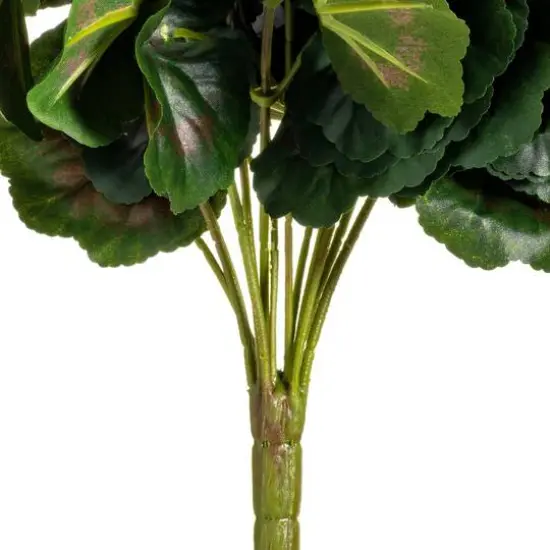 Red Geranium Bush {6}