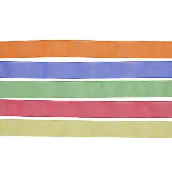 5 Color Sheer Value Pack Ribbon by Celebrate It&reg; Primary {4}