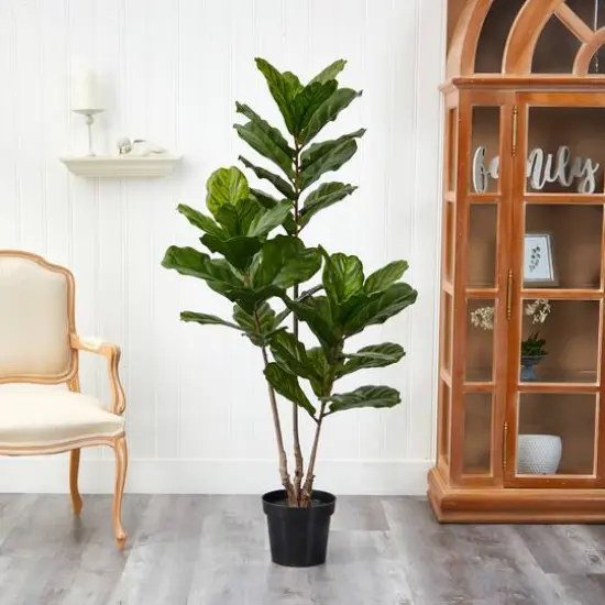 5.4ft. Potted Fiddle Leaf Tree  {5}