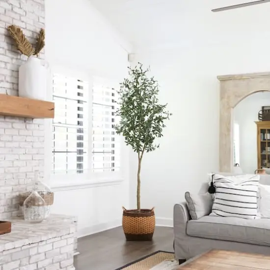 8ft. Potted Artificial Olive Tree {3}