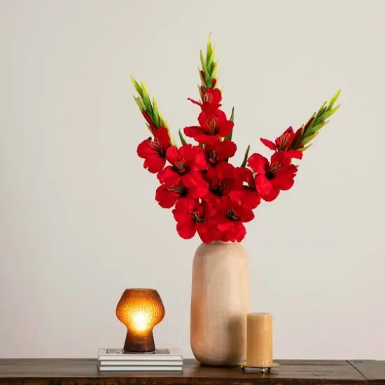 45" Red Gladiolus Flower Stems, 3ct. {3}