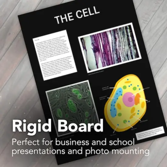 Strathmore&reg; 400 Series Black Presentation Board, 20" x 30" {3}