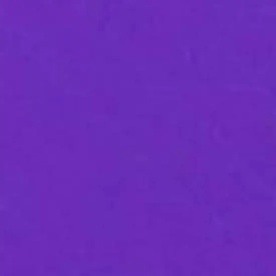 JAM Paper 5" x 10.5" 13-Pocket Expanding File, 2ct. Purple {4}