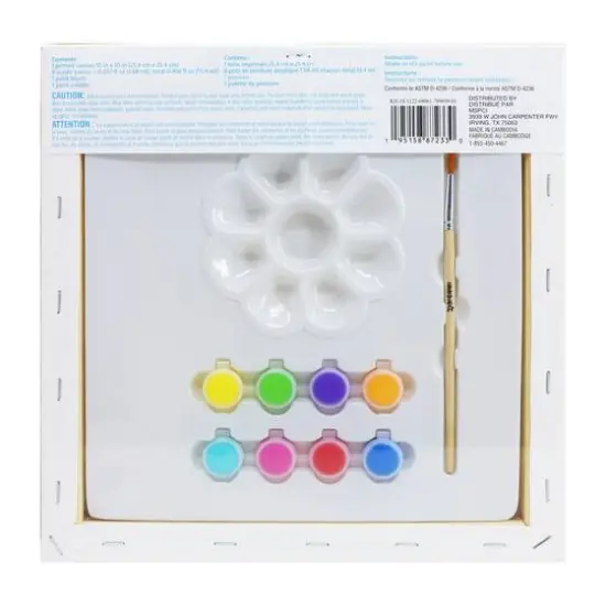 Flowers Canvas Painting Kit by Creatology&trade; {6}