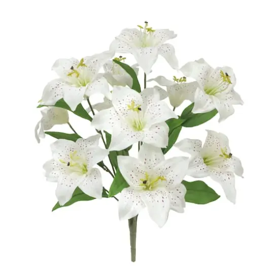 21" Cream Lily Bush by Ashland&reg; {3}