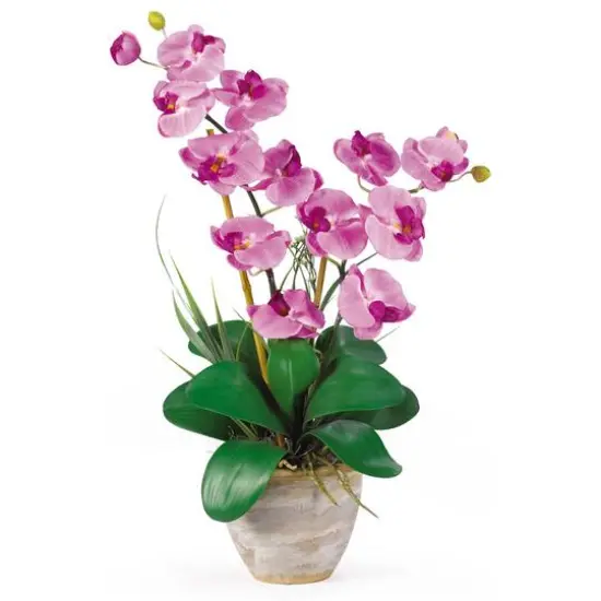 2ft. Double Moth Orchid Silk Flower Arrangement Mauve {1}