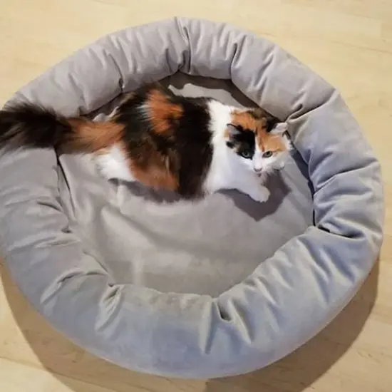 Royal Pet Bed Medium Washable Luxury Velvet Dog Bed Ash {5}