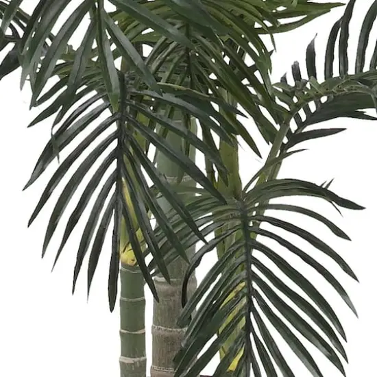6.5ft. Potted Golden Cane Palm Tree {4}