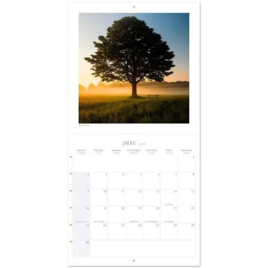 TF Publishing 2024 Zen Nature Bilingual Wall Calendar {4}