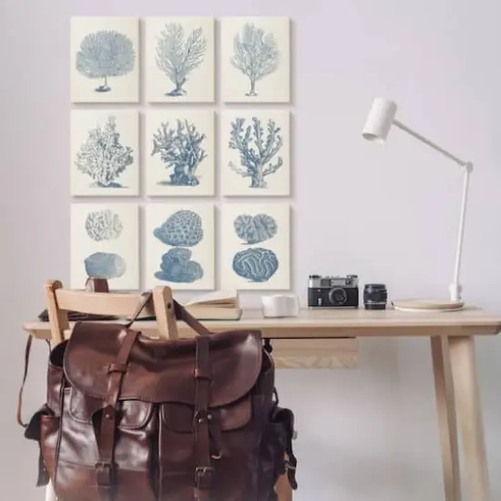 Stupell Industries Soft Blue Nautical Coral Illustrations over Beige,11' x 14" {3}