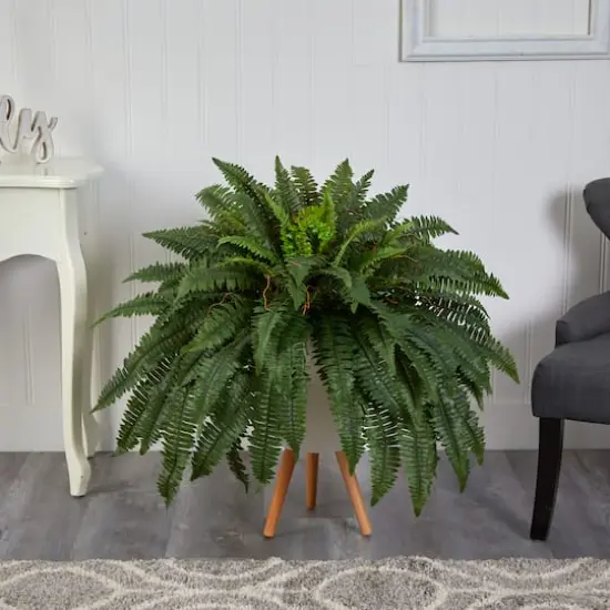 2.5ft. Boston Fern in White Planter with Legs {4}