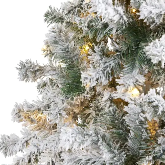 8ft. Pre-Lit Flocked Rock Springs Spruce Artificial Christmas Tree with Clear LED Lights {4}