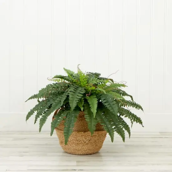 23" Artificial Boston Fern Plant with Handmade Jute & Cotton Basket {5}