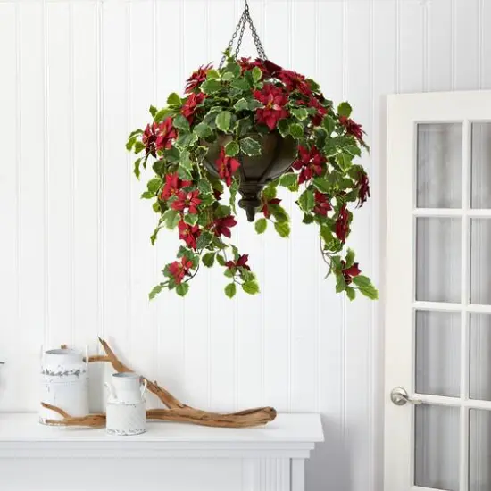 3ft. Red Poinsettia & Variegated Holly Plant in Metal Hanging Bowl {4}