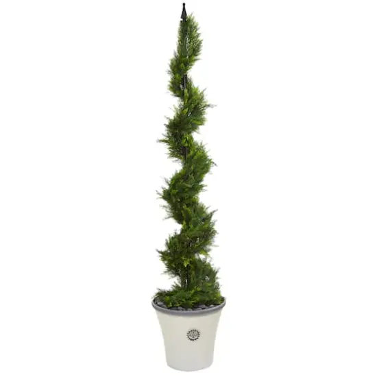 5.5ft. Cypress Spiral Tree in Decorative Planter {1}