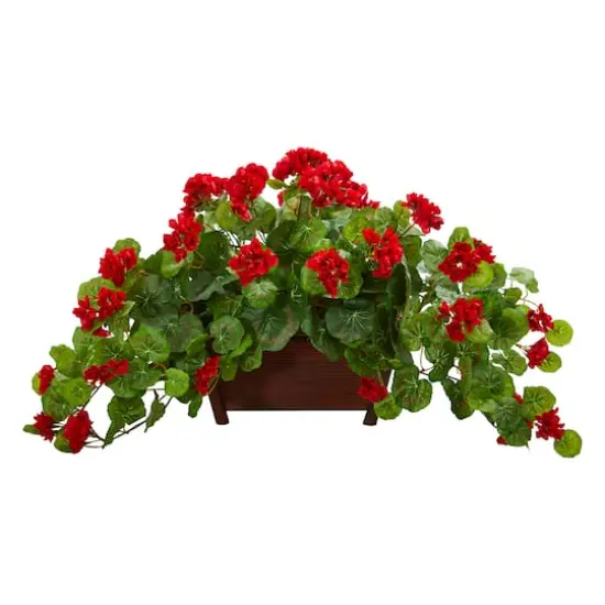 15'' Geranium in Wooden Planter {1}