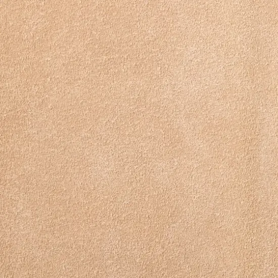 Suede Leather Trim by ArtMinds&reg; Beige {3}