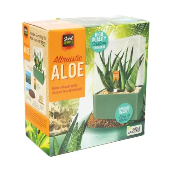 Seed Squares - Altruistic Aloe {3}