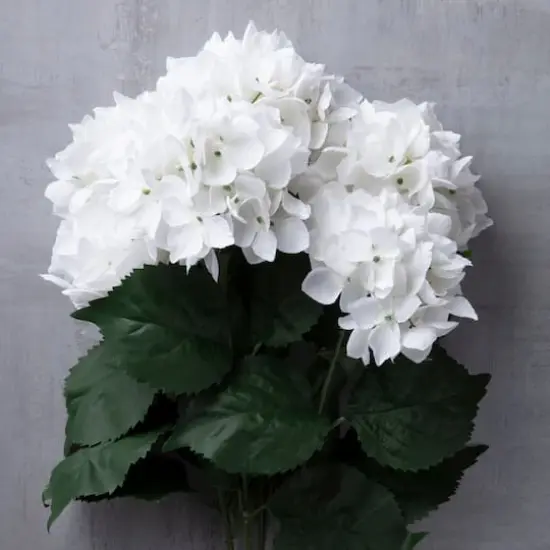 White Hydrangea Bush by Ashland&reg; {6}