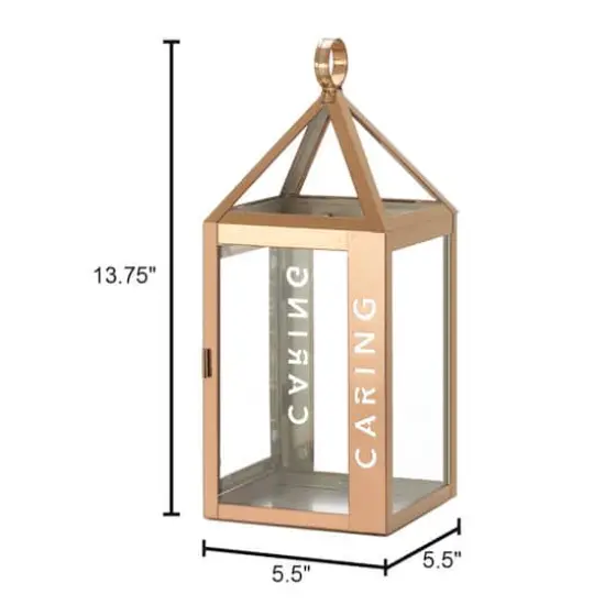 13.75" Rose Metal Frame Caring Lantern {5}
