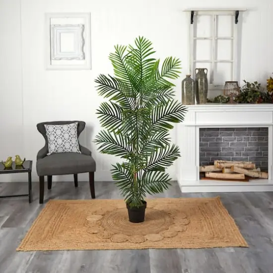 5ft. Potted Paradise Palm Tree {4}