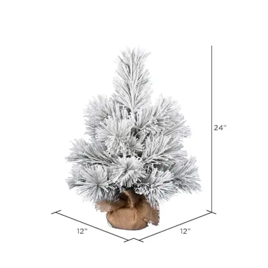 24" Unlit Frosted Beckett Pine Artificial Christmas Tree {4}