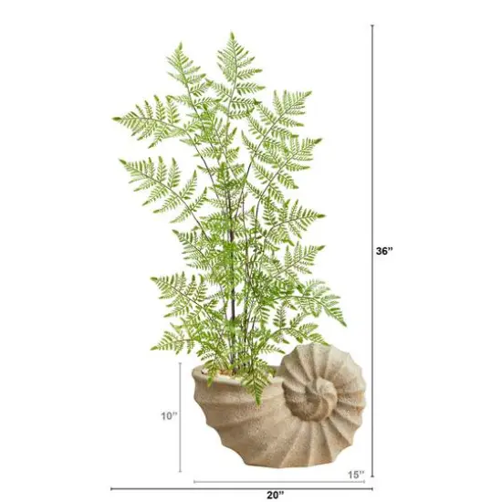 3ft. Ruffle Fern Artificial Tree in Shell Shaped Planter {3}