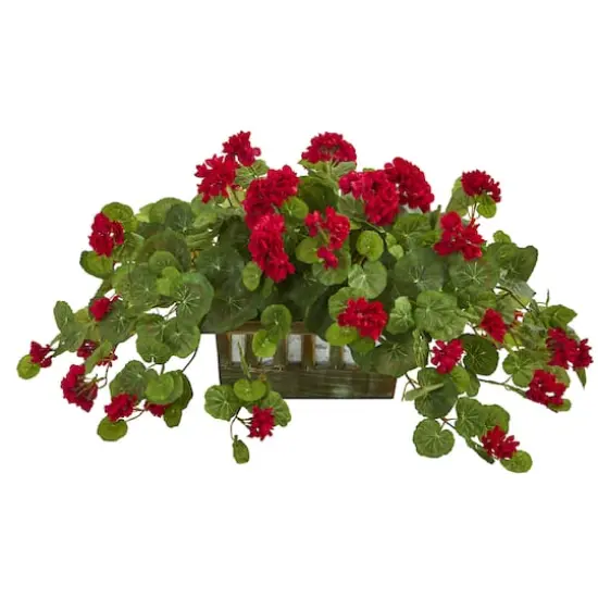 15'' Geranium in Decorative Planter {1}