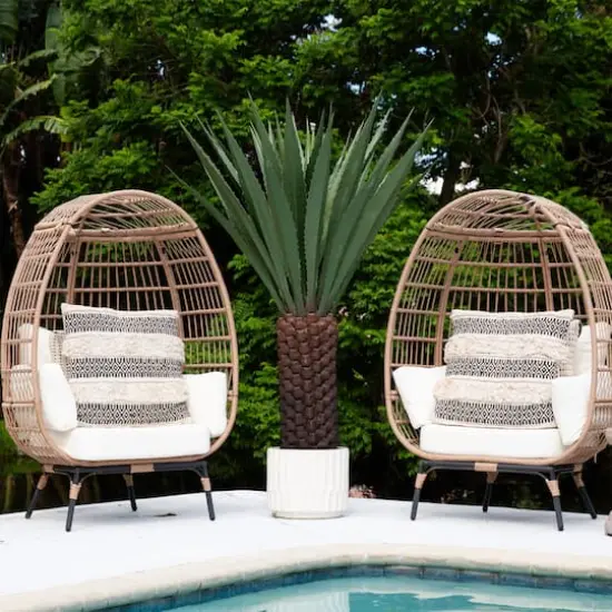 6ft. Potted UV Resistant Giant Agave Plant {3}