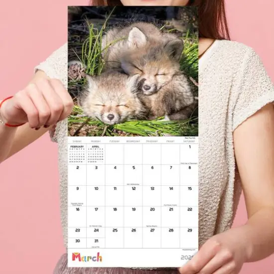 TF Publishing 2025 Baby Animals Mini Calendar {6}