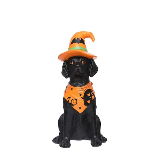 14" Sitting Dog with Witch Hat Tabletop D&eacute;cor by Ashland&reg; {1}