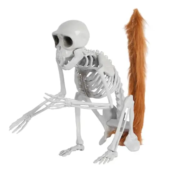 11" Skeleton Monkey by Ashland&reg; {1}