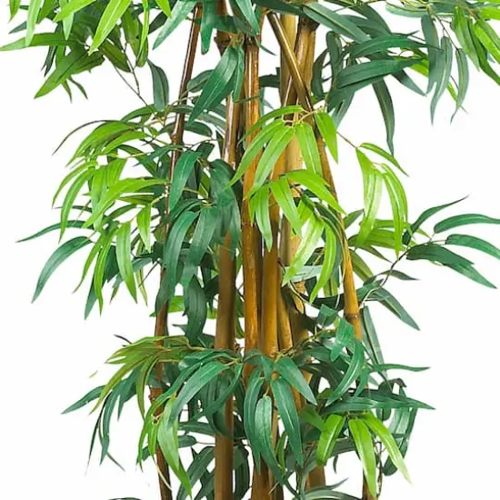 6ft. Potted Curved Bamboo Tree {3}