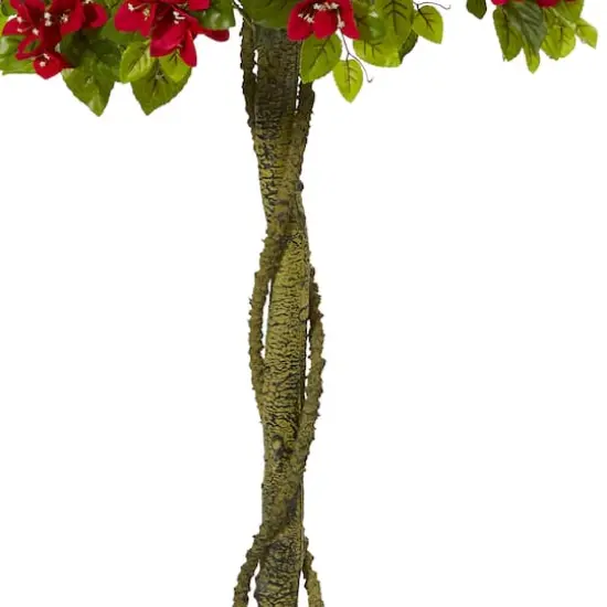 5ft. Potted Bougainvillea Topiary Tree {4}